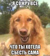 я сожру все что ты хотела съесть сама