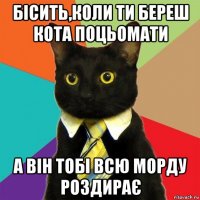 бісить,коли ти береш кота поцьомати а він тобі всю морду роздирає