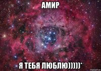 амир я тебя люблю)))))*