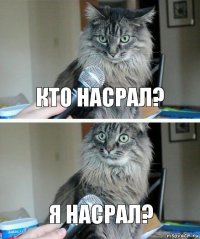 кто насрал? я насрал?