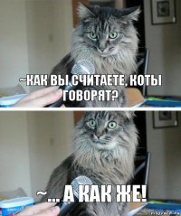 ~Как вы считаете, коты говорят? ~... А как же!