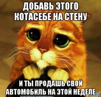 добавь этого котасебе на стену и ты продашь свой автомобиль на этой неделе