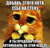 добавь этого кота себе на стену и ты продашь свой автомобиль на этой неделе