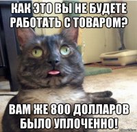 как это вы не будете работать с товаром? вам же 800 долларов было уплоченно!