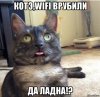 котэ,wifi врубили да ладна!?