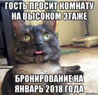 гость просит комнату на высоком этаже бронирование на январь 2018 года