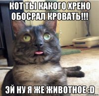 кот ты какого хрено обосрал кровать!!! эй ну я же животное :d