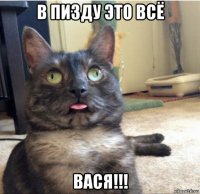 в пизду это всё вася!!!