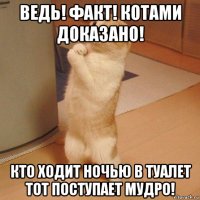 ведь! факт! котами доказано! кто ходит ночью в туалет тот поступает мудро!