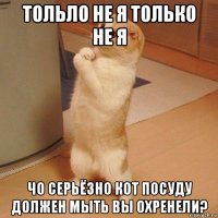 тольло не я только не я чо серьёзно кот посуду должен мыть вы охренели?