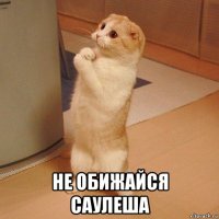  не обижайся саулеша