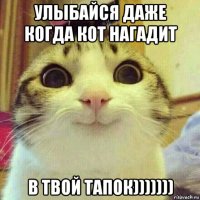 улыбайся даже когда кот нагадит в твой тапок)))))))