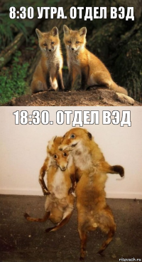 8:30 утра. Отдел ВЭД 18:30. Отдел ВЭД