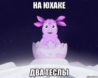 на юхаке два теслы