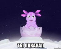  ты покакал