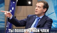 Ты похож на мой член