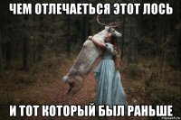 чем отлечаеться этот лось и тот который был раньше