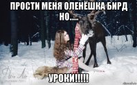 прости меня оленёшка бирд но..... уроки!!!!!