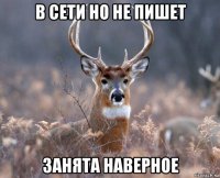 в сети но не пишет занята наверное