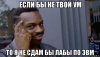 если бы не твой ум то я не сдам бы лабы по эвм