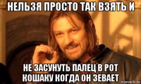 нельзя просто так взять и не засунуть палец в рот кошаку когда он зевает