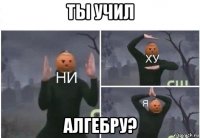 ты учил алгебру?