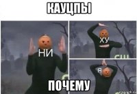 кауцпы почему