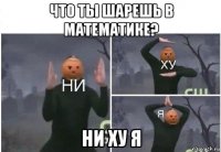 что ты шарешь в математике? ни ху я