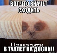 вот что значет сходить в туалет на доски!!