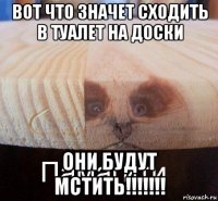 вот что значет сходить в туалет на доски они будут мстить!!!!!!!