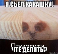 я сьел какашку( чтё делять?