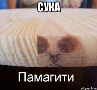 сука 