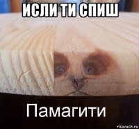 исли ти спиш 