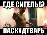 где сигель!? паскудтварь