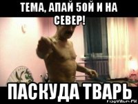 тема, апай 50й и на север! паскуда тварь