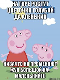 на горе ростут цветочки голубой да аленький низачто ни променяют хуй большой на маленький)))