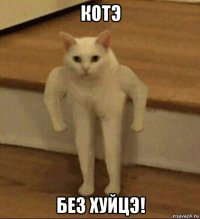 котэ без хуйцэ!