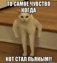 то самое чувство когда кот стал пьяным!!