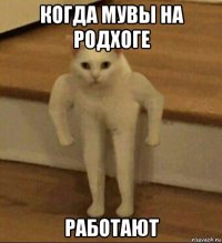 когда мувы на родхоге работают