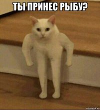 ты принес рыбу? 