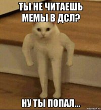 ты не читаешь мемы в дсл? ну ты попал...