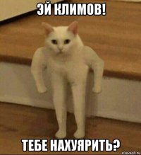 эй климов! тебе нахуярить?