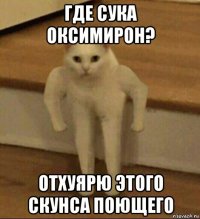 где сука оксимирон? отхуярю этого скунса поющего