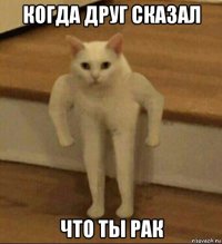 когда друг сказал что ты рак