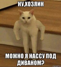 ну,хозяин можно я нассу под диваном?