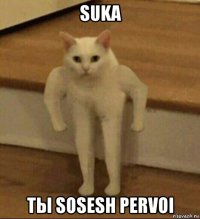 suka tы sosesh pervoi