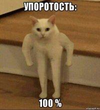 упоротость: 100 %