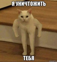 я уничтожить тебя