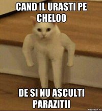 cand il urasti pe cheloo de si nu asculti parazitii