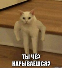  ты чё? нарываешся?